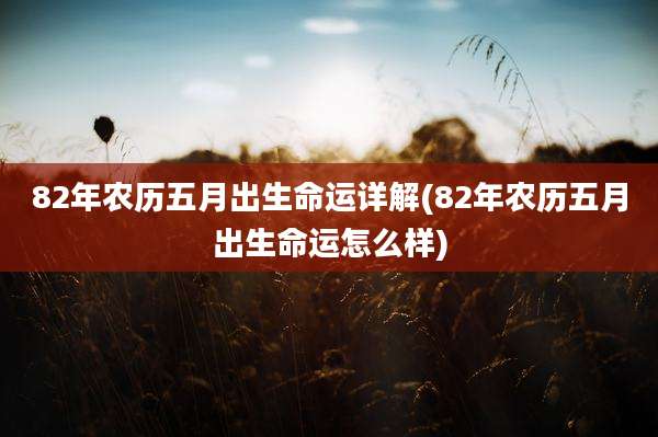 82年农历五月出生命运详解(82年农历五月出生命运怎么样)