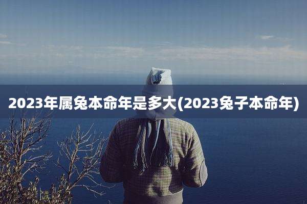 2023年属兔本命年是多大(2023兔子本命年)