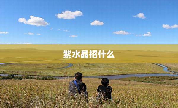 紫水晶招什么