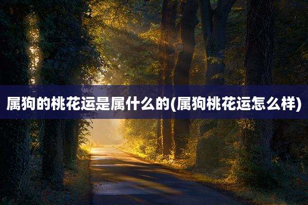 属狗的桃花运是属什么的(属狗桃花运怎么样)