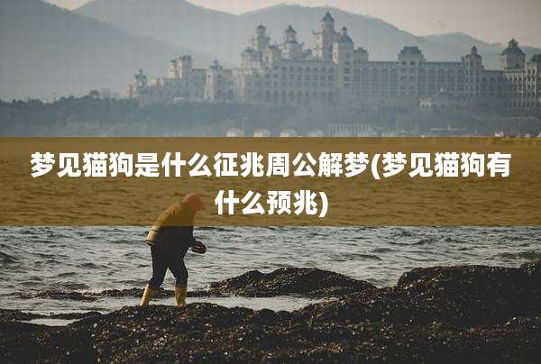 梦见猫狗是什么征兆周公解梦(梦见猫狗有什么预兆)