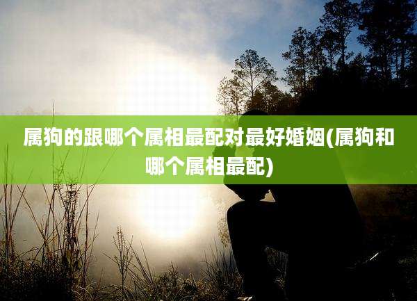 属狗的跟哪个属相最配对最好婚姻(属狗和哪个属相最配)