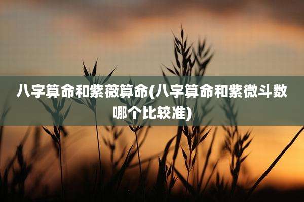 八字算命和紫薇算命(八字算命和紫微斗数哪个比较准)