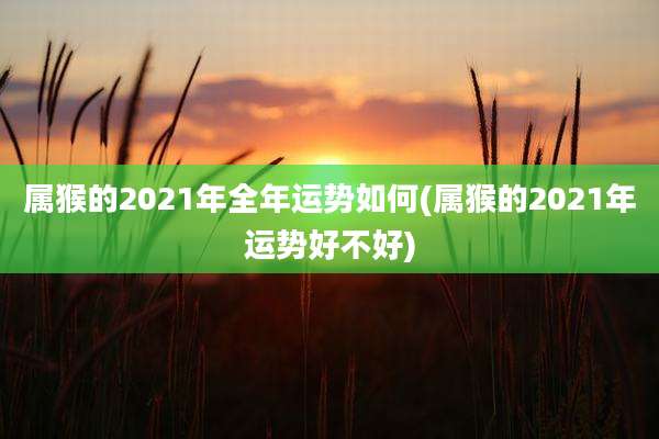 属猴的2021年全年运势如何(属猴的2021年运势好不好)