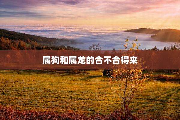 属狗和属龙的合不合得来