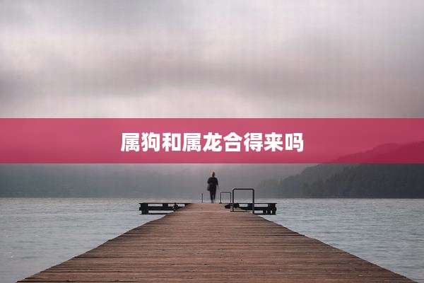 属狗和属龙合得来吗
