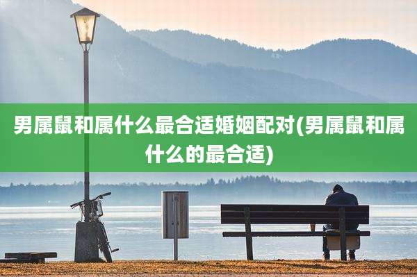男属鼠和属什么最合适婚姻配对(男属鼠和属什么的最合适)
