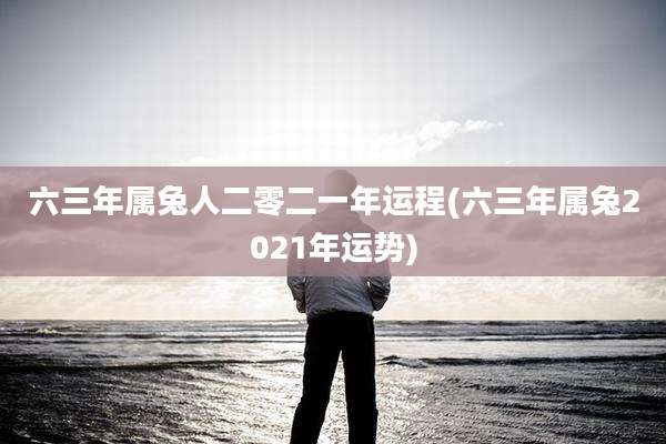 六三年属兔人二零二一年运程(六三年属兔2021年运势)