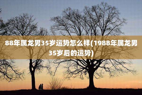 88年属龙男35岁运势怎么样(1988年属龙男35岁后的运势)