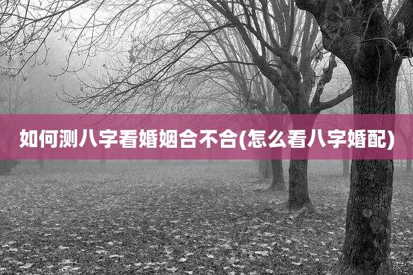 如何测八字看婚姻合不合(怎么看八字婚配)