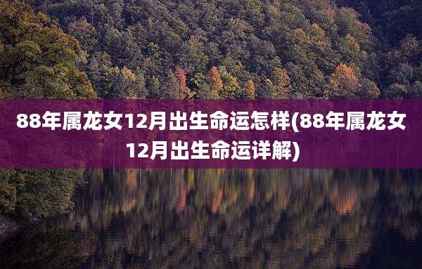 88年属龙女12月出生命运怎样(88年属龙女12月出生命运详解)