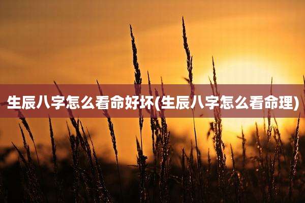 生辰八字怎么看命好坏(生辰八字怎么看命理)