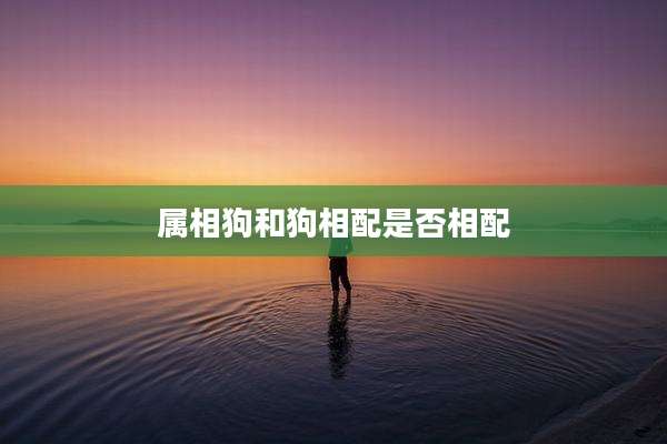属相狗和狗相配是否相配