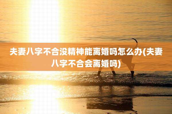 夫妻八字不合没精神能离婚吗怎么办(夫妻八字不合会离婚吗)