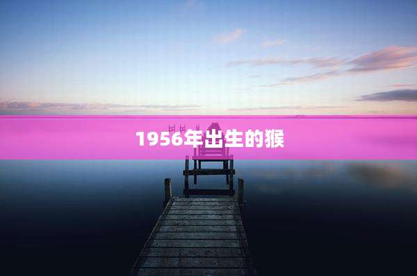 1956年出生的猴