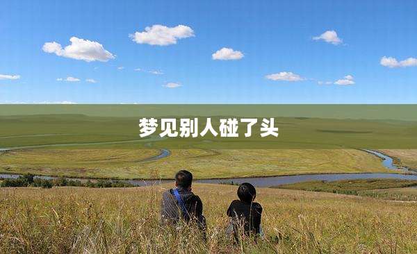 梦见别人碰了头