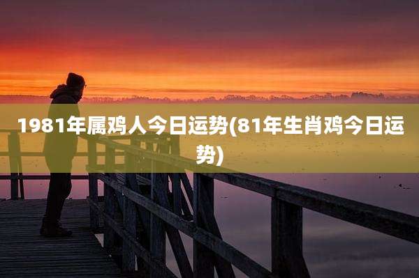 1981年属鸡人今日运势(81年生肖鸡今日运势)