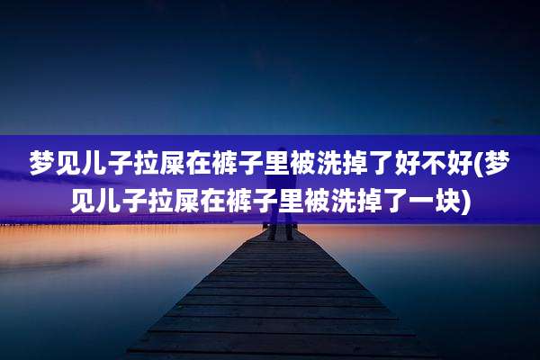梦见儿子拉屎在裤子里被洗掉了好不好(梦见儿子拉屎在裤子里被洗掉了一块)