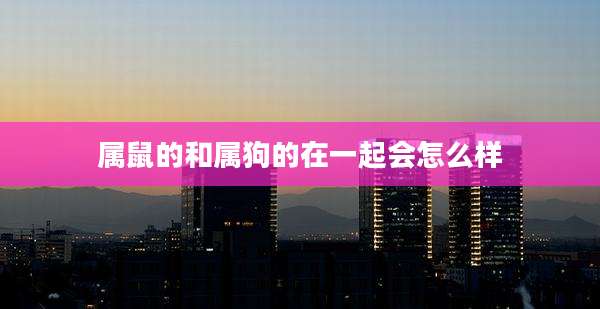 属鼠的和属狗的在一起会怎么样