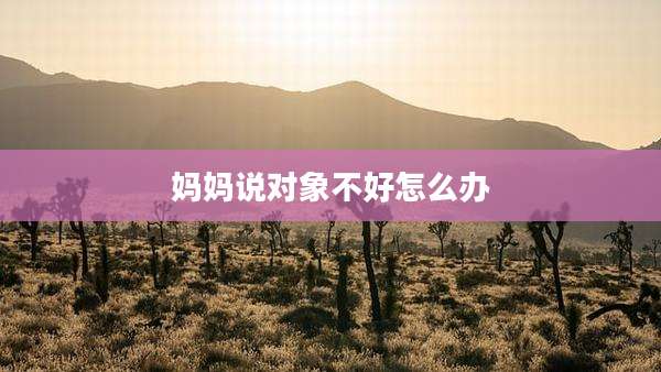 妈妈说对象不好怎么办