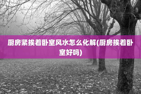 厨房紧挨着卧室风水怎么化解(厨房挨着卧室好吗)