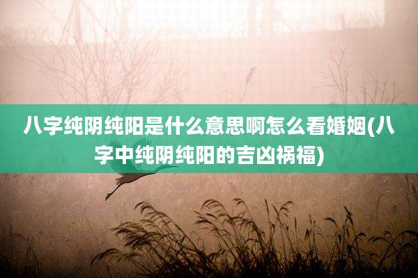 八字纯阴纯阳是什么意思啊怎么看婚姻(八字中纯阴纯阳的吉凶祸福)