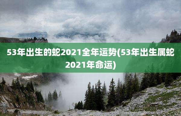 53年出生的蛇2021全年运势(53年出生属蛇2021年命运)