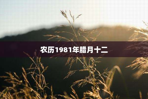 农历1981年腊月十二