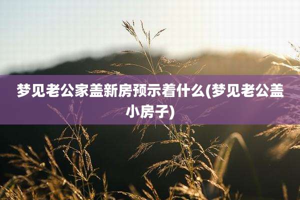 梦见老公家盖新房预示着什么(梦见老公盖小房子)