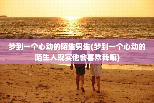 梦到一个心动的陌生男生(梦到一个心动的陌生人现实他会喜欢我嘛)