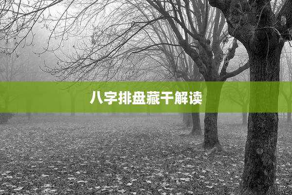 八字排盘藏干解读