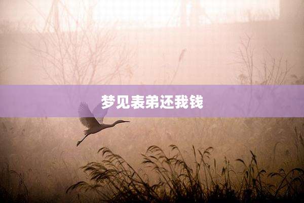 梦见表弟还我钱
