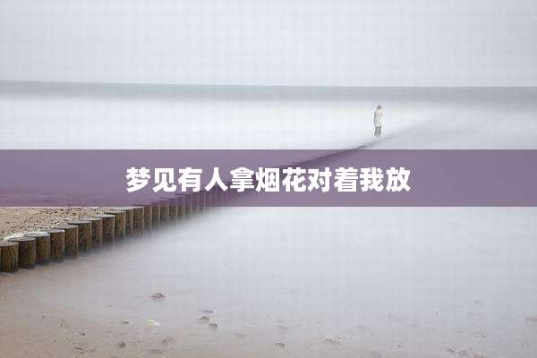 梦见有人拿烟花对着我放