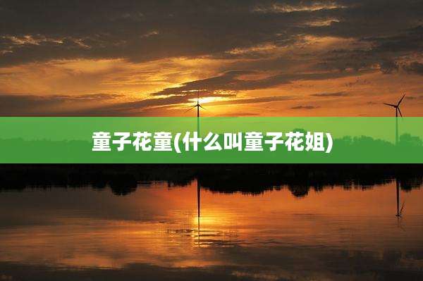 童子花童(什么叫童子花姐)