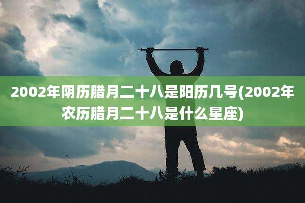 2002年阴历腊月二十八是阳历几号(2002年农历腊月二十八是什么星座)