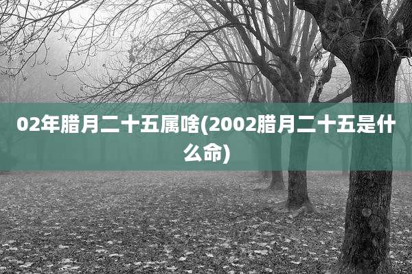 02年腊月二十五属啥(2002腊月二十五是什么命)