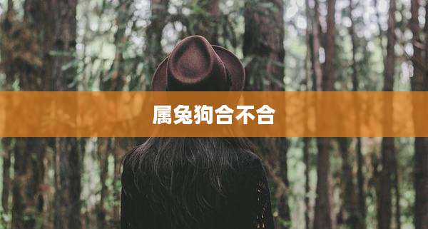 属兔狗合不合