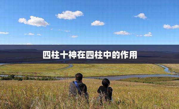 四柱十神在四柱中的作用
