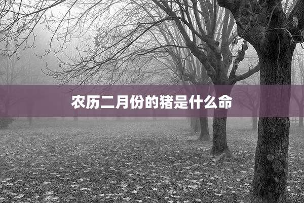 农历二月份的猪是什么命