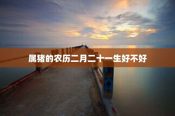 属猪的农历二月二十一生好不好