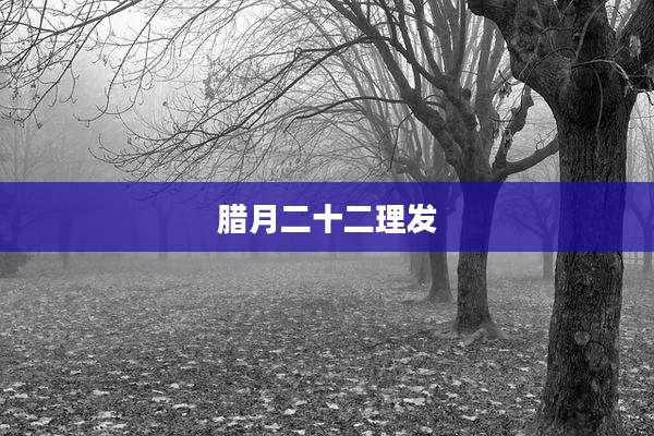 腊月二十二理发