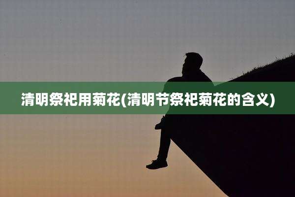 清明祭祀用菊花(清明节祭祀菊花的含义)