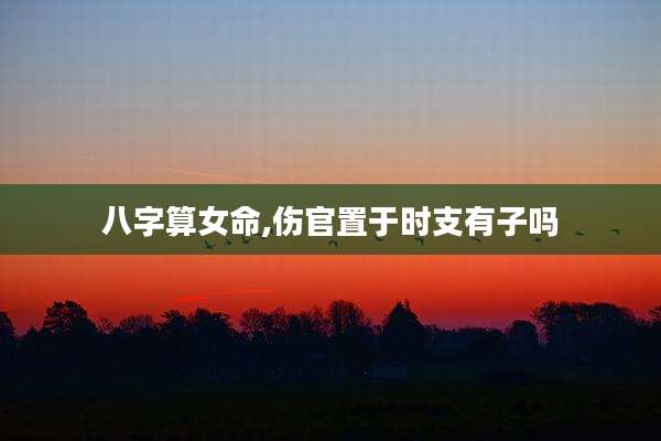 八字算女命,伤官置于时支有子吗