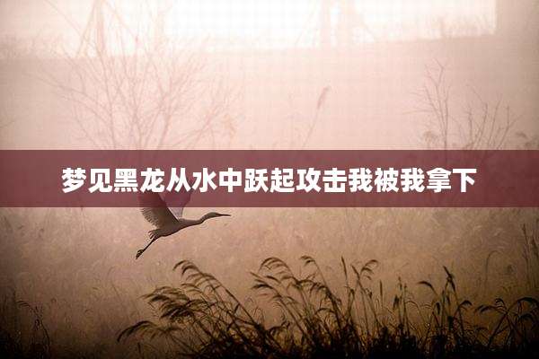 梦见黑龙从水中跃起攻击我被我拿下