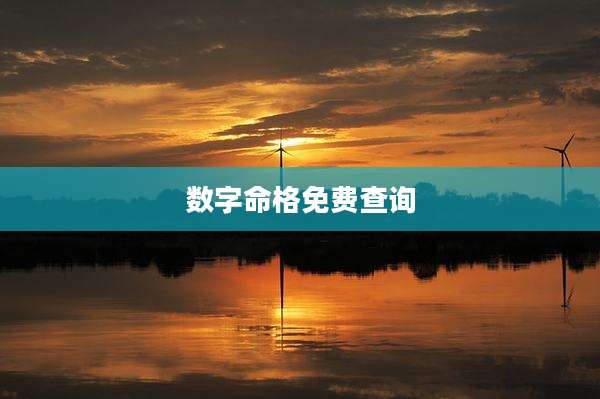 数字命格免费查询