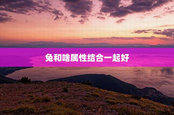 兔和啥属性结合一起好