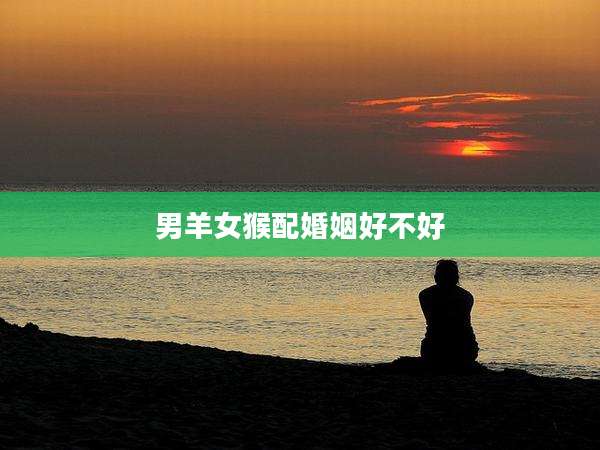 男羊女猴配婚姻好不好