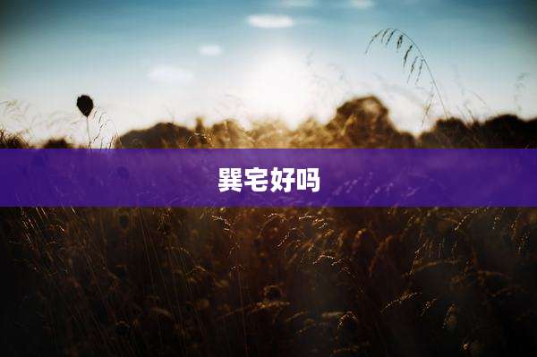 巽宅好吗