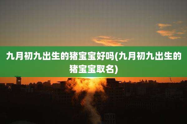 九月初九出生的猪宝宝好吗(九月初九出生的猪宝宝取名)