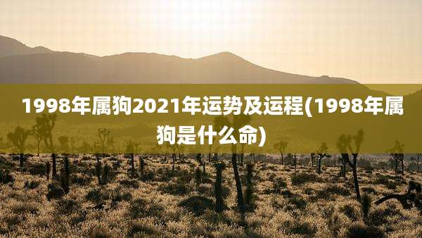 1998年属狗2021年运势及运程(1998年属狗是什么命)